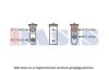 AKS DASIS 840194N Expansion Valve, air conditioning